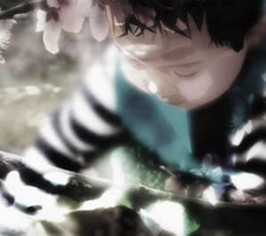 网页DDOS攻击平台